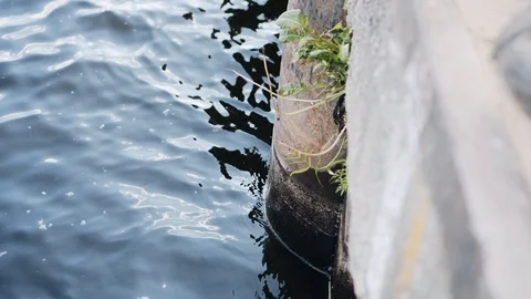 Close-up of the pier. The waves are beating against the pier supports. Stock Footage 109185854