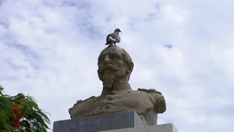 Close-up of a pigeon on a monument in Casma square - Casma, Peru - April 2022 Stock Footage 197082019
