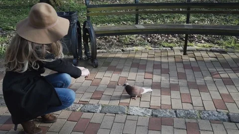 CLOSE UP: pigeons running around young woman. Girl feeding. Animals taking food Stock Footage 75486177