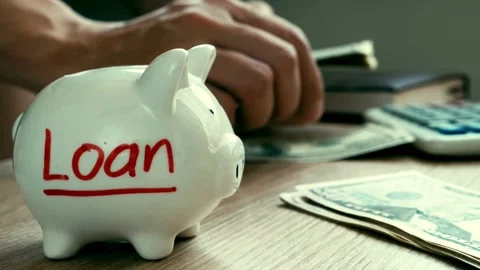 Close Up of Piggy Bank Marked Loan with Person Counting Cash Stock Footage 335407853