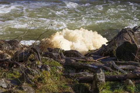Close up of a pile of cluster of bubbles along a creeks edge Stock Photos