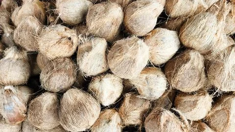 Close Up of a pile of coconuts that have had their skins peeled Foto stock