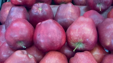 Close up of a pile of fresh red apples with smooth skin Stock Footage 327227764