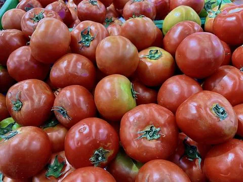 Close up of a pile of fresh red Roma tomatoes displayed in a supermarket Stock Photos