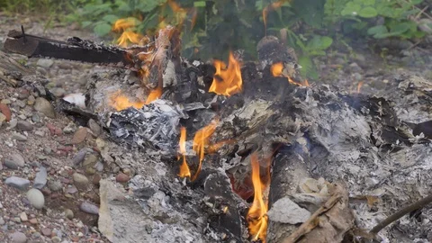 Close-up of a pile of papers burning in flame on the ground 库存影片 125112463
