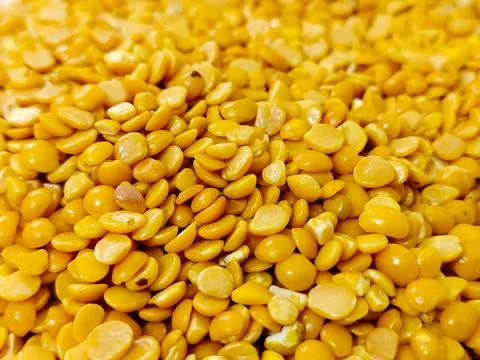 Close-up of a pile of yellow corn Stock Photos