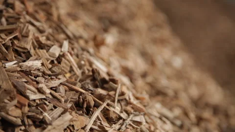 Close up of piles of wood chips Stock Footage 231497295