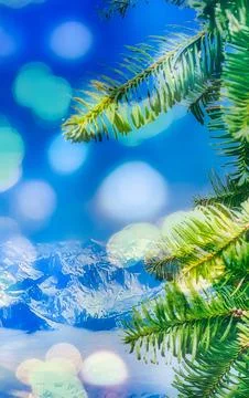 Close up of a pine branch against a bright blue sky with bokeh and snow cap.. Stock Photos