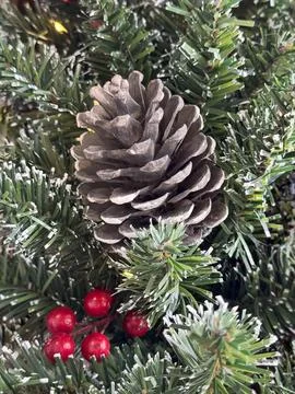 A close-up of a pine cone on a Christmas tree with red berries Stock-Fotos