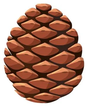 Close up of pine cone Stock Illustration