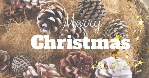 Close-up of pine cones and straw arranged during christmas time the christmas Stock Illustration