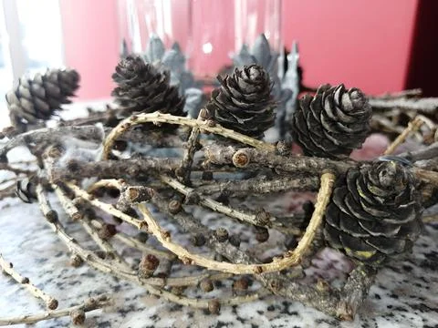 Close-Up of Pine Cones and Twigs on Textured Surface Stock Photos