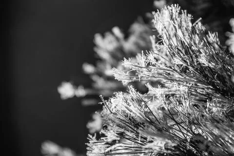 A close-up of pine needles on an artificial Christmas tree Stock Photos