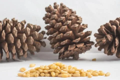 Close-up on Pine Nuts Stock Photos