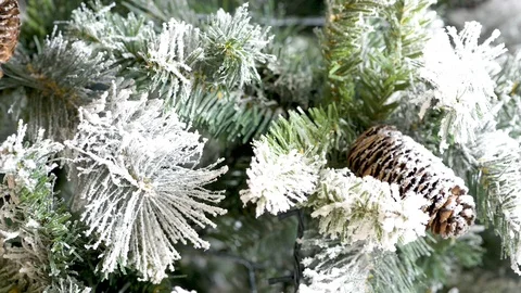 Close up of a pine tree with pine cones covered by snow on white Vídeos de archivo 97060341