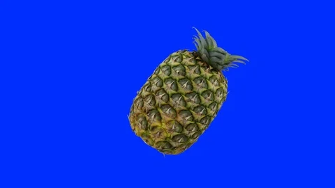 Close up of pineaple rotating seamless loop against Blue Screen Stock-Footage 108900923