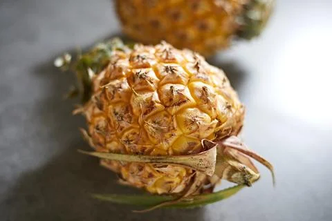 Close up Pineapple on gray background Stock Photos