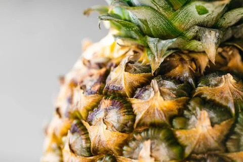 Close-up of pineapple peel background, macro shot. Stock Photos