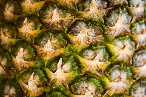 Close-up of pineapple peel background, macro shot. Stock-Fotos