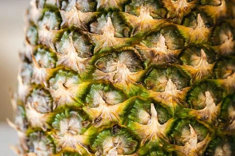 Close-up of pineapple peel background, macro shot. Stock Photos
