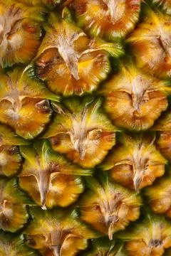 Close-up of pineapple peel texture. Stock Photos
