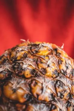 Close up of a pineapple on a red background Stock-Fotos