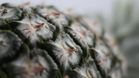 Close-up of pineapple rotate in slow motion Stock-Footage 148275714