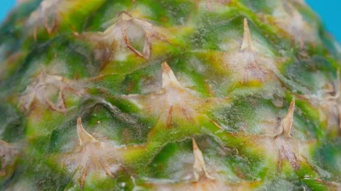 Close up of pineapple running water texture background. Fruit food background Stock Footage 169043203