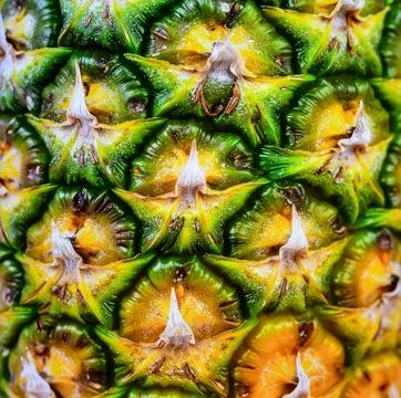 Close up pineapple skin surface showing tropical fruit texture and organic .. Stock Photos
