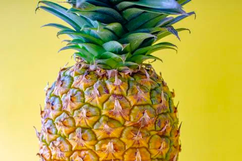 Close up of a pineapple with yellow background Stock Photos