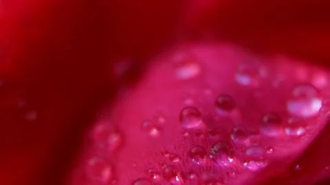 Close-Up Pink Bubble Texture Stock Photos