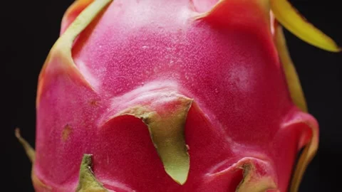 Close-up of pink dragon fruit. Exotic Pitaya or pitahaya is a fruit of several Stock Footage 274745987