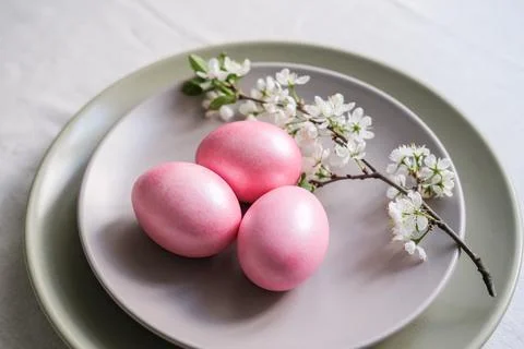 Close-up of pink Easter eggs and cherry blossom branch on gray plate. Easter  Stock Photos