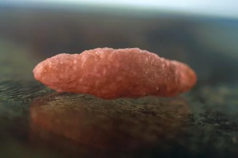 A close up of a pink object Stock Photos