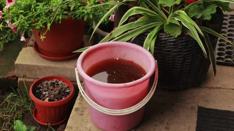 Close-up of a pink plastic bucket filled with liquid plant fertilizer stand.. Stock Footage 343531918