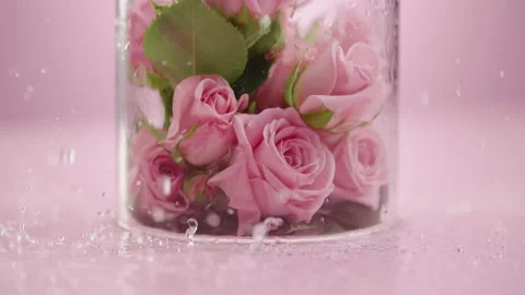Close-up, pink roses inside a transparent glass vase on the surface of the water Stock Footage 178408471