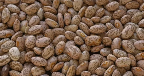Close-up of pinto beans, background texture. Camera slide. Stock Footage 329443165