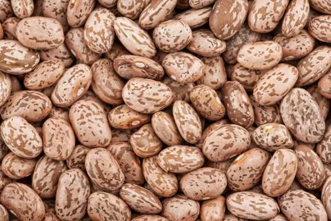 Close up of Pinto Beans Stock Photos