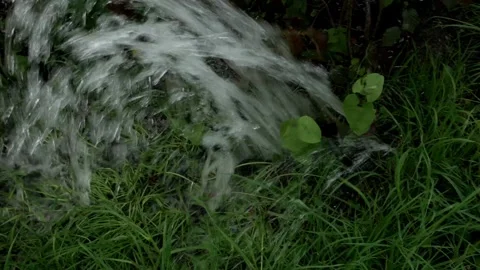 Close up of pipe breakdown amidst grass. Water bursts from pipe, symbolizing inf Video stock 277639875