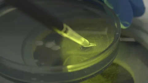 Close-up of a pipette tool collecting the sample of the organic food product Stock Footage 277292114