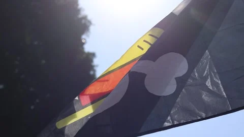Close up of pirate flag inspired by One Piece used by Generation Z movement Stock Footage 321521986
