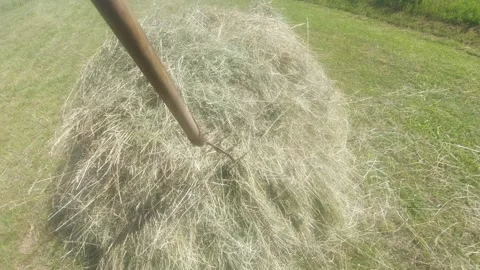 Close-up of pitchfork stabbing and gathering dry hay from a haystack in the mead Stock Footage 338283258