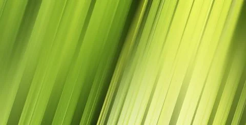 Close up of plant with leafs Stock Photos