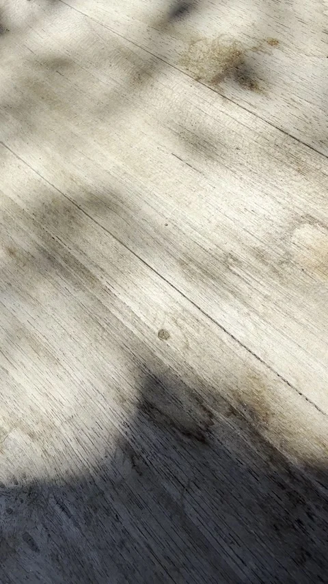 Close-Up Plant Shadows on Rustic Wooden Table Surface Stock Footage 334838096