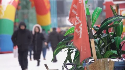 Close up of plants &amp; flag blowing in wind, people walk in light snowfall, China 스톡 동영상 84699335