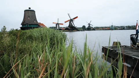Close-up of plants swaying in the wind and centuries-old windmills working in Video stock 295929006