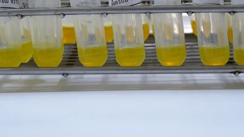 Close up plasma in test tube laboratory concept. Stock Footage 80279332