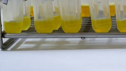 Close up plasma in test tube laboratory concept. Stock Footage 80279363