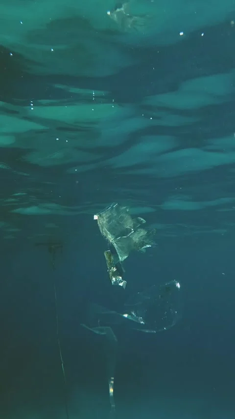 Close-up of a plastic bag floating in the sea. Garbage in the sea water. Stock Footage 317534640