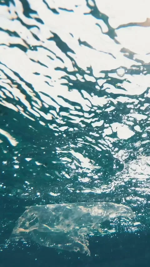 Close-up of a plastic bag floating in the sea. Garbage in the sea water. Stock Footage 318808146